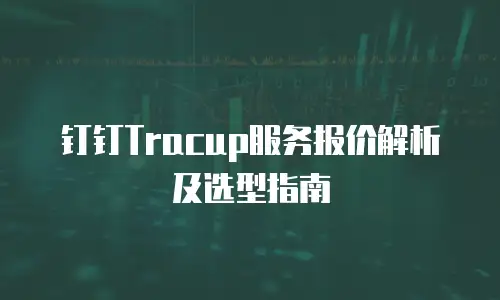 钉钉Tracup服务报价解析及选型指南