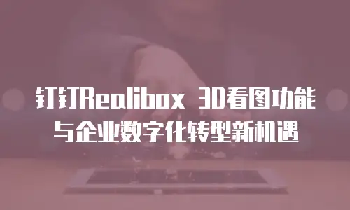 钉钉Realibox 3D看图功能与企业数字化转型新机遇