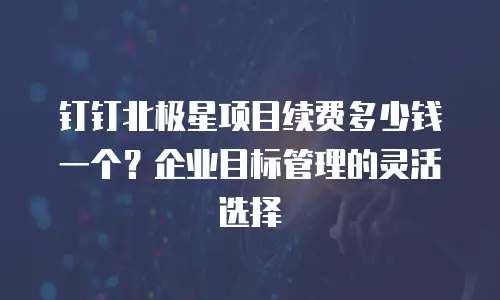 钉钉北极星项目续费多少钱一个？企业目标管理的灵活选择
