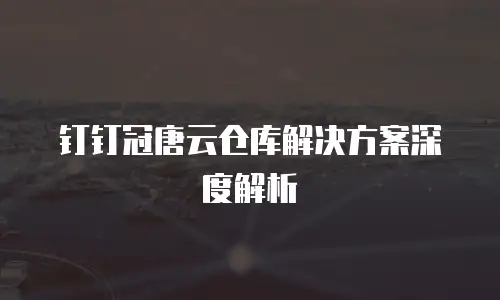 钉钉冠唐云仓库解决方案深度解析