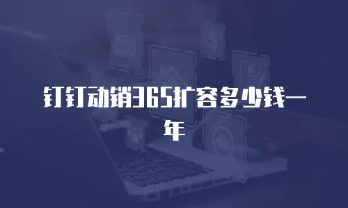 钉钉动销365扩容多少钱一年