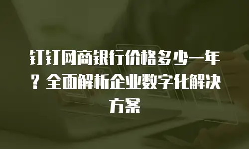 钉钉网商银行价格多少一年？全面解析企业数字化解决方案