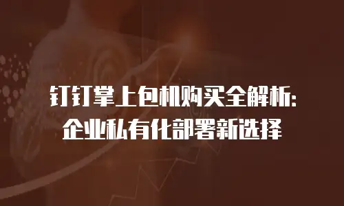 钉钉掌上包机购买全解析：企业私有化部署新选择