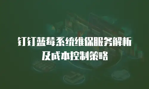 钉钉蓝莓系统维保服务解析及成本控制策略