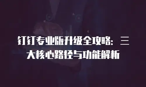 钉钉专业版升级全攻略：三大核心路径与功能解析