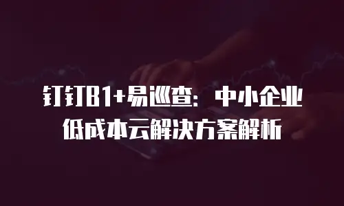 钉钉B1+易巡查：中小企业低成本云解决方案解析