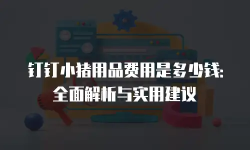 钉钉小猪用品费用是多少钱：全面解析与实用建议