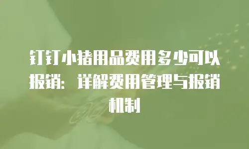 钉钉小猪用品费用多少可以报销：详解费用管理与报销机制