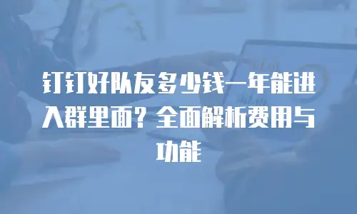 钉钉好队友多少钱一年能进入群里面？全面解析费用与功能