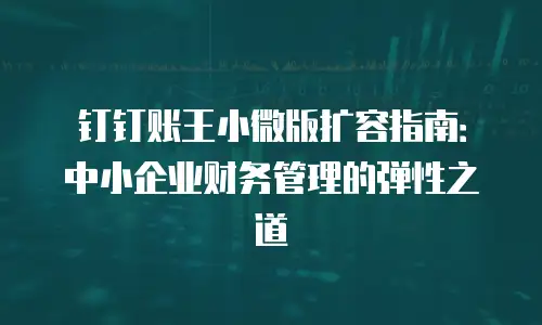 钉钉账王小微版扩容指南：中小企业财务管理的弹性之道
