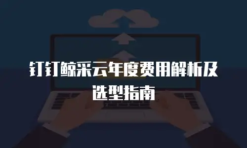 钉钉鲸采云年度费用解析及选型指南