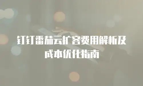 钉钉番茄云扩容费用解析及成本优化指南