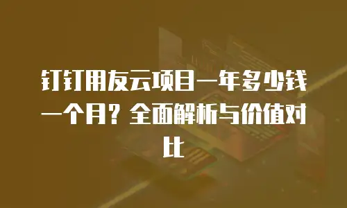 钉钉用友云项目一年多少钱一个月？全面解析与价值对比