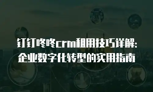 钉钉咚咚crm租用技巧详解：企业数字化转型的实用指南