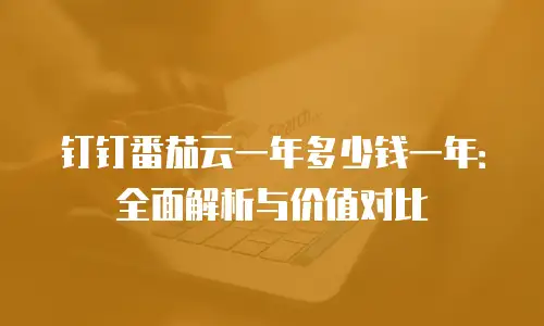 钉钉番茄云一年多少钱一年：全面解析与价值对比