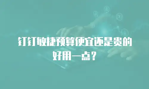 钉钉敏捷预算便宜还是贵的好用一点？