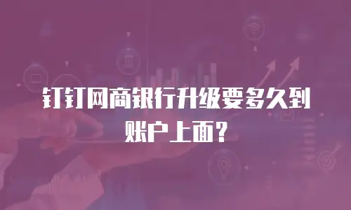 钉钉网商银行升级要多久到账户上面？
