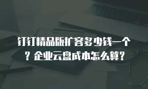 钉钉精品版扩容多少钱一个？企业云盘成本怎么算？
