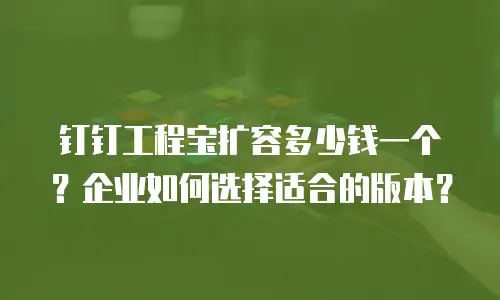 钉钉工程宝扩容多少钱一个？企业如何选择适合的版本？