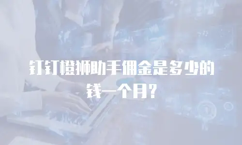 钉钉橙狮助手佣金是多少的钱一个月？