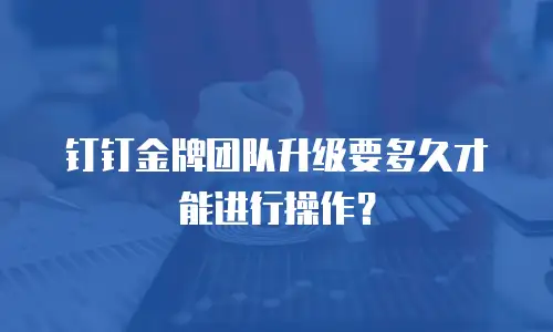 钉钉金牌团队升级要多久才能进行操作？