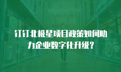 钉钉北极星项目政策如何助力企业数字化升级？