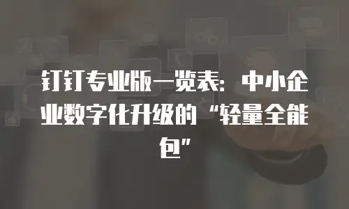 钉钉专业版一览表：中小企业数字化升级的“轻量全能包”