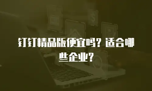 钉钉精品版便宜吗？适合哪些企业？