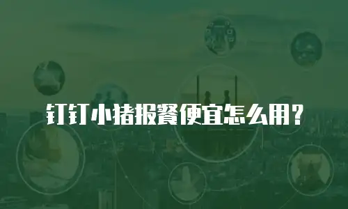 钉钉小猪报餐便宜怎么用？