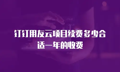 钉钉用友云项目续费多少合适一年的收费