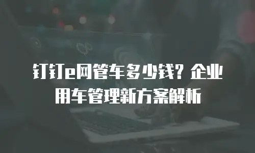 钉钉e网管车多少钱？企业用车管理新方案解析