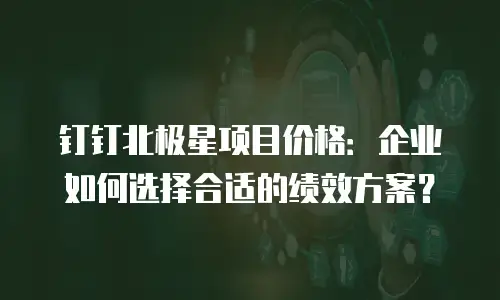 钉钉北极星项目价格：企业如何选择合适的绩效方案？