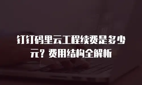 钉钉码里云工程续费是多少元？费用结构全解析