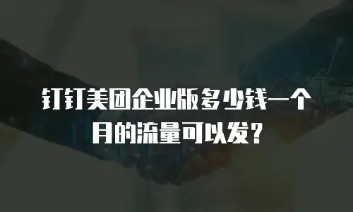钉钉美团企业版多少钱一个月的流量可以发？