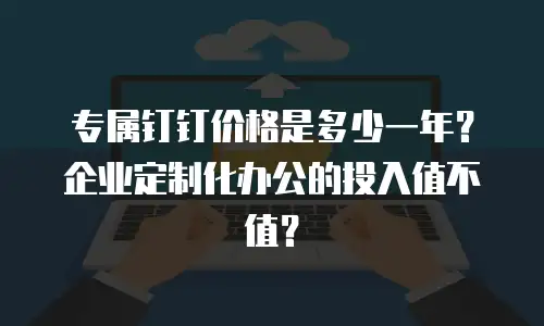 专属钉钉价格是多少一年？企业定制化办公的投入值不值？