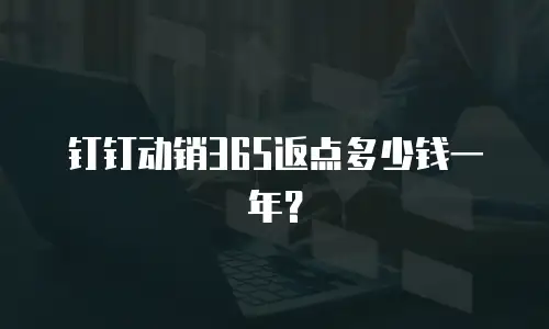 钉钉动销365返点多少钱一年？