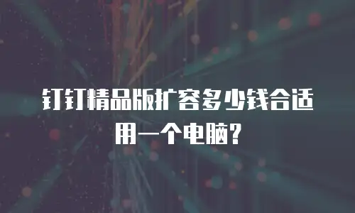 钉钉精品版扩容多少钱合适用一个电脑？