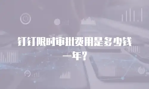 钉钉限时审批费用是多少钱一年？