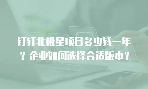 钉钉北极星项目多少钱一年？企业如何选择合适版本？