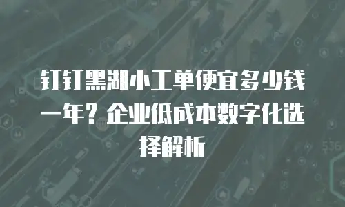 钉钉黑湖小工单便宜多少钱一年？企业低成本数字化选择解析