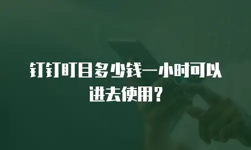 钉钉盯目多少钱一小时可以进去使用？