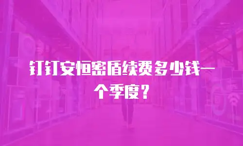 钉钉安恒密盾续费多少钱一个季度？