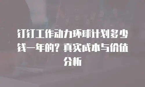 钉钉工作动力环球计划多少钱一年的？真实成本与价值分析