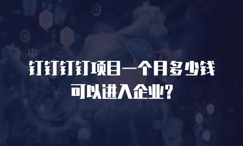 钉钉钉钉项目一个月多少钱可以进入企业？