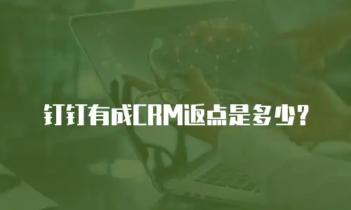 钉钉有成CRM返点是多少？