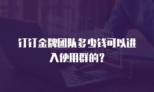 钉钉金牌团队多少钱可以进入使用群的？