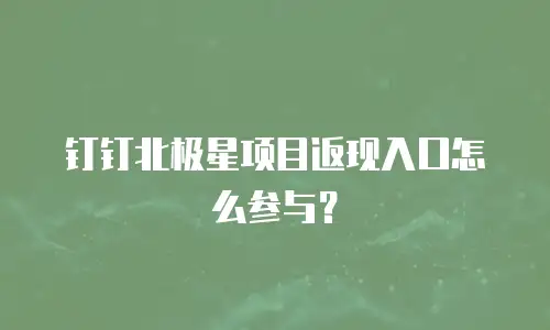钉钉北极星项目返现入口怎么参与？