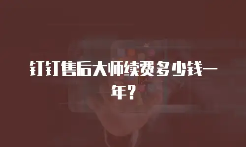 钉钉售后大师续费多少钱一年？