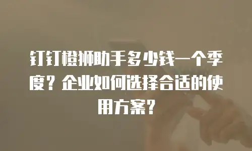 钉钉橙狮助手多少钱一个季度？企业如何选择合适的使用方案？