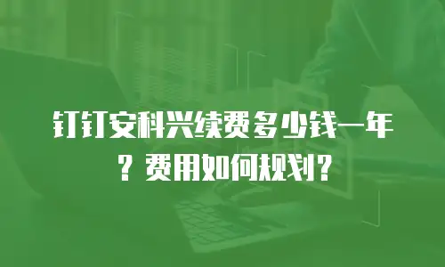 钉钉安科兴续费多少钱一年？费用如何规划？